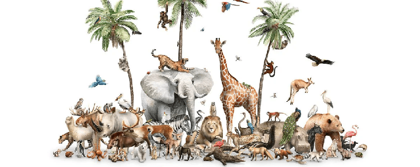 Lions Land Animal Wallpaper