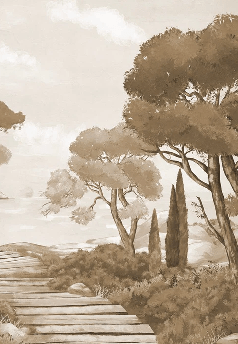 Monochrome wallpaper featuring a stroll through the calanques