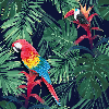 Exotic Parrot Wallpaper