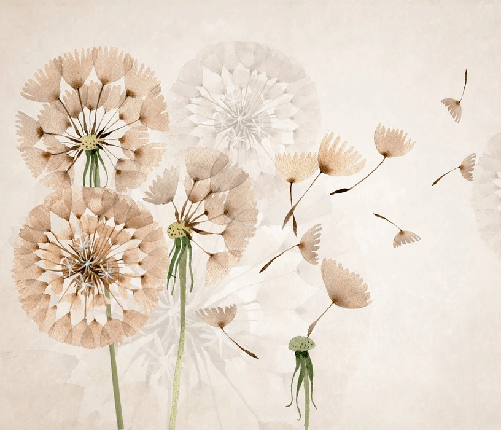 Dandelion flower wallpaper
