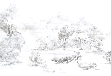 Watercolor pine forest wallpaper