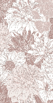 Dahlia flower wallpaper