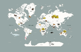 Papier peint Carte du monde en Francais enfant gris - Muralconcept