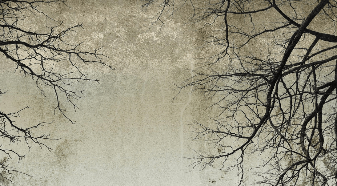 Papier peint Forêt Enchantée