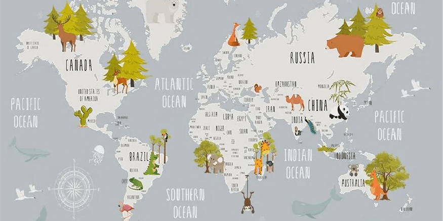 Light gray animal map children's bedroom wallpaper