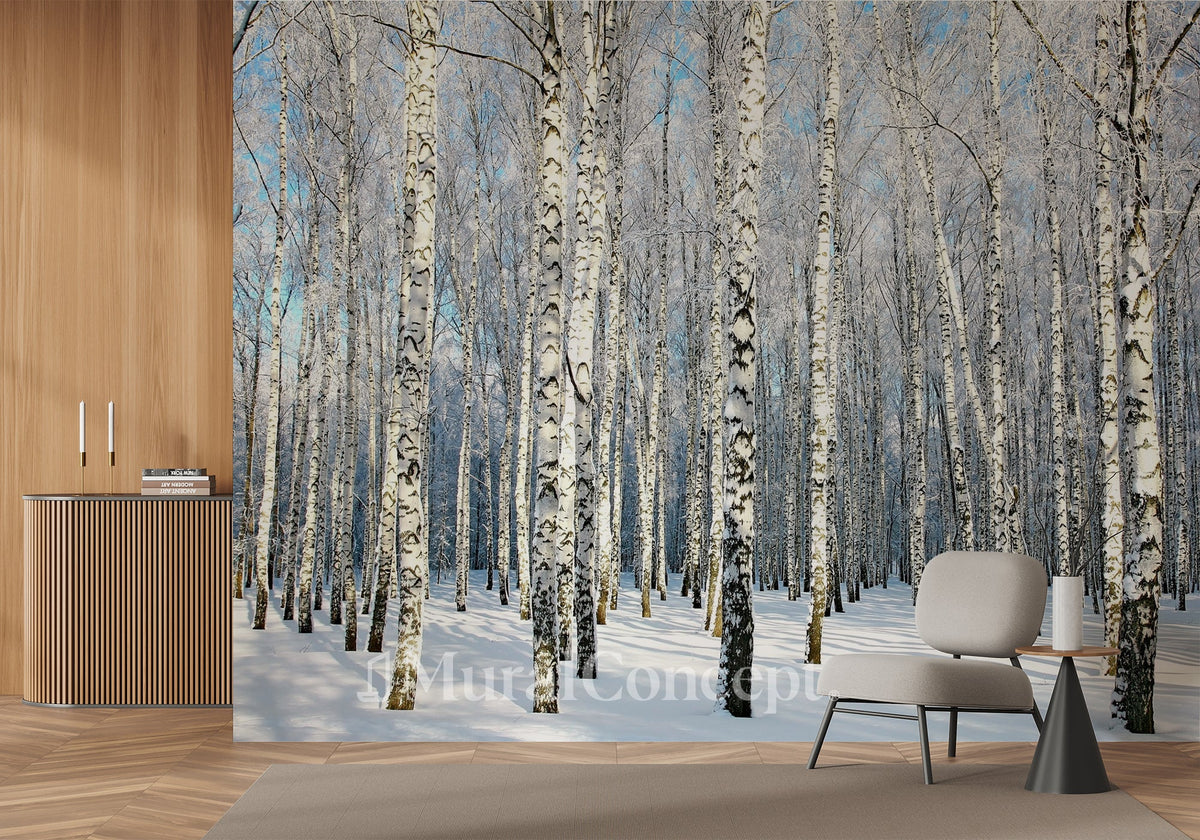 Birch Wood Forest wallpaper