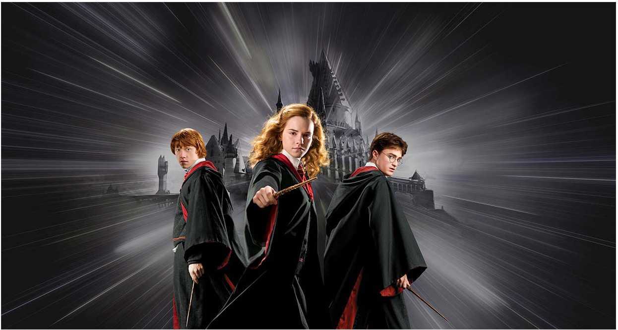 Papier peint panoramique Harry Potter Poudlard dark, XXL, tendance