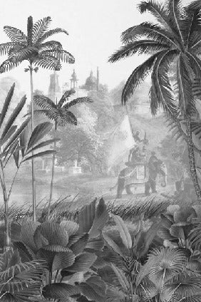 Wild shadows panoramic wallpaper
