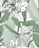 Papier peint salle de bain feuillage nature vert fleur NB, XXL, tendance