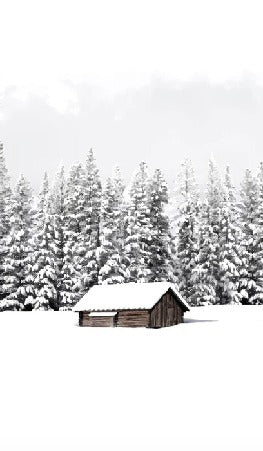Papier peint panoramique chalet en montagne