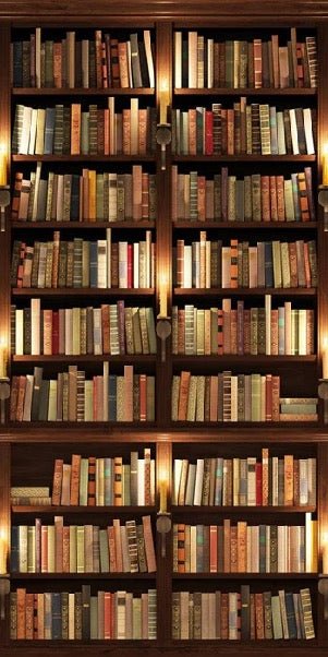 Papier peint trompe l'oeil Authentique Bibliothèque, XXL, tendance