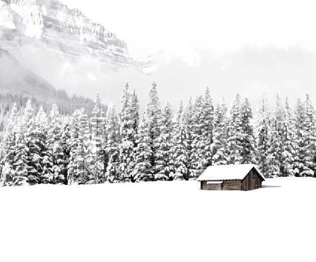 Papier peint panoramique chalet en montagne, XXL, tendance