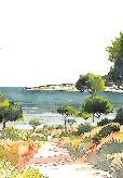 Panoramic summer air wallpaper