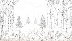 Papier peint forêt d'arbres noir et blanc, XXL, tendance