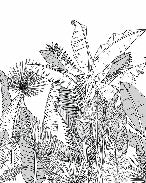 Papier peint salle de bain noir et blanc botanic leaf, XXL, tendance