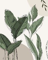 Papier peint panoramique végétal graphique taupe