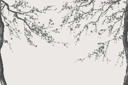 Papier peint panoramique fleur Sakura noir et blanc