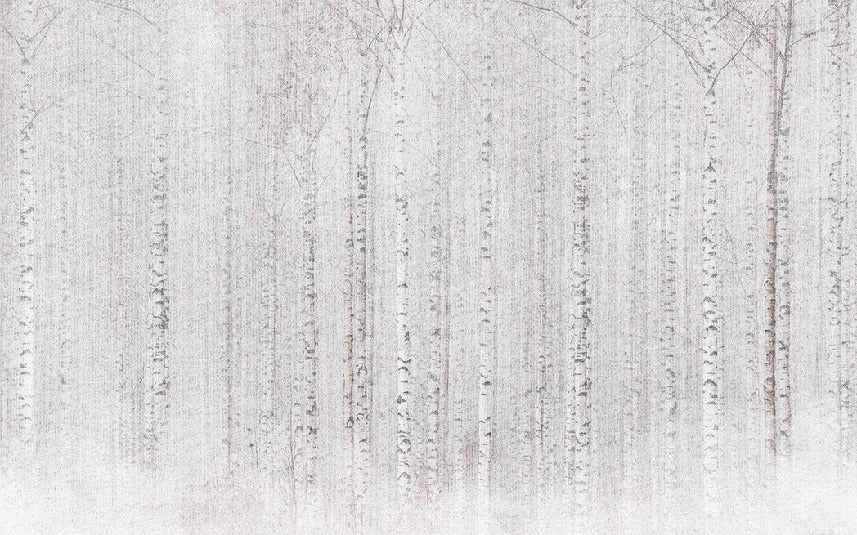 Papier peint forêt de bouleaux enveloppante