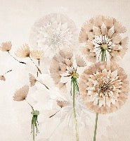 Papier peint fleur pissenlit