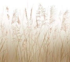 Papier peint fleur des champs de blé, XXL, tendance