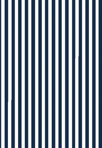 Papier peint rayure rétro bleu marine, XXL, tendance