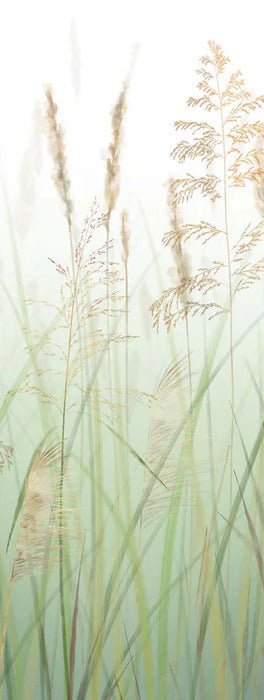 Papier peint fleur des champs de blé vert, XXL, tendance