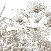 Papier peint tropical gravure monochrome, XXL, tendance