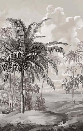Papier peint paysage Célèbes noir et blanc