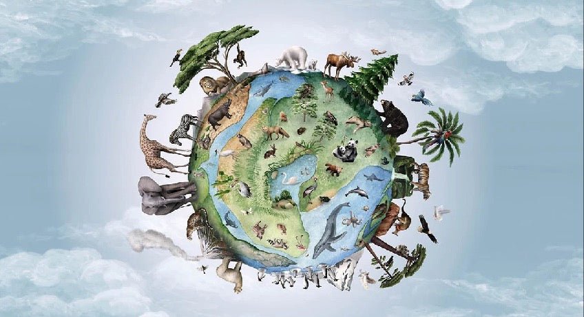 Papier peint enfant planète animaux