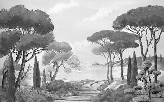 Papier peint balade dans les calanques noir et blanc, XXL, tendance