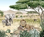 Papier peint enfant savane secrète