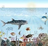 Marine animal wallpaper, XXL, tendance