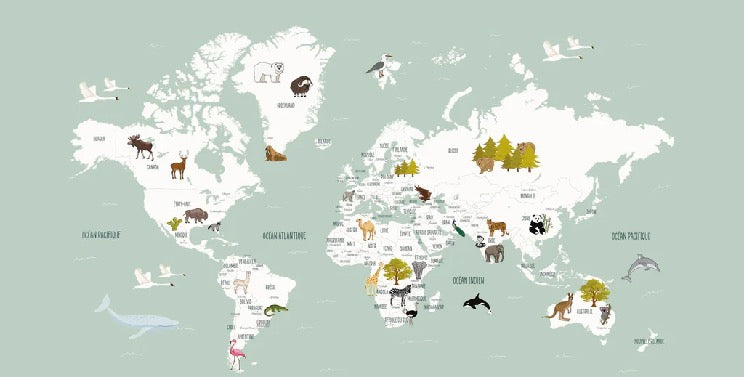 Papier peint Carte du monde en Francais enfant vert
