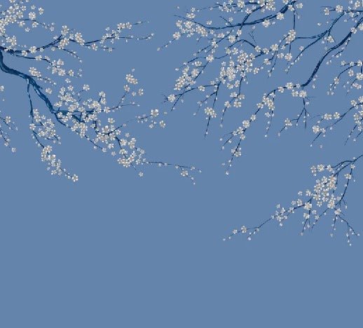 Sakura bluish flower panoramic wallpaper