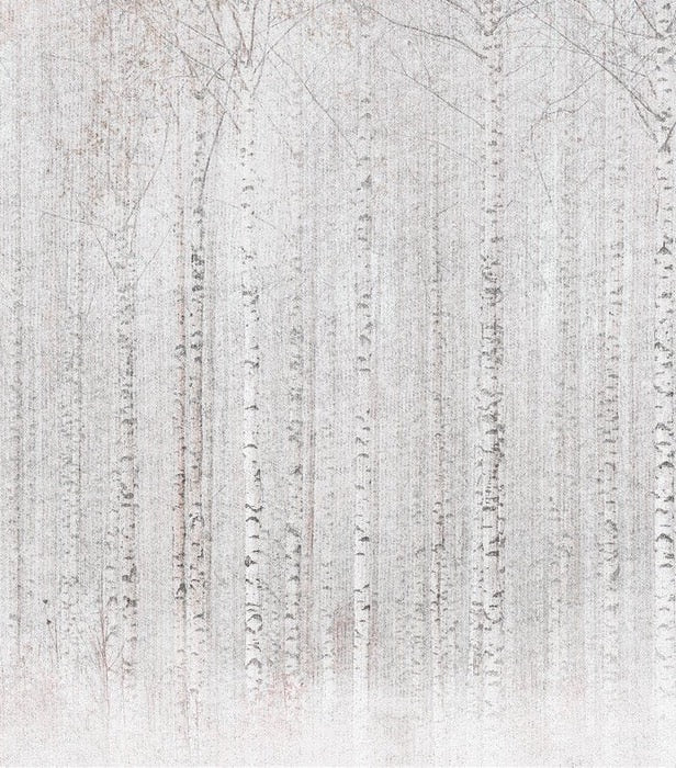 Papier peint forêt de bouleaux enveloppante
