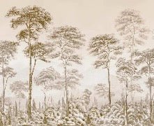 Sepia pinewood nature wallpaper