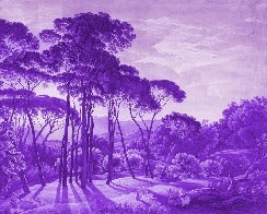 Papier peint paysage historique italien violet