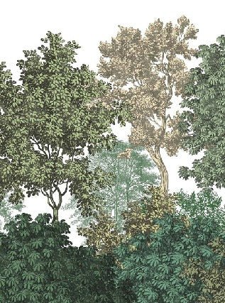 Papier peint restaurant paysage forêt gravure