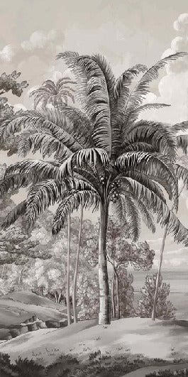 Papier peint paysage Célèbes noir et blanc, XXL, tendance