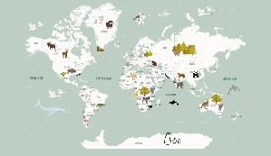 Papier peint Carte du monde en Francais enfant vert, XXL, tendance