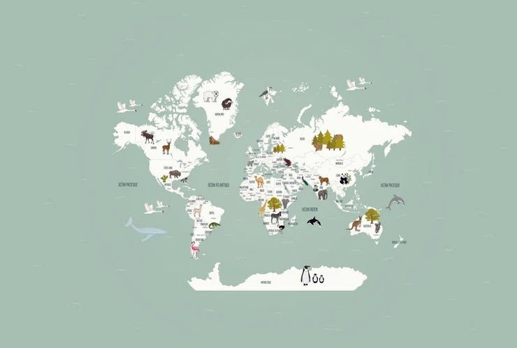 Papier peint Carte du monde en Francais enfant vert, XXL, tendance