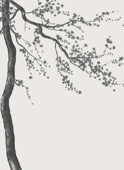 Papier peint panoramique fleur Sakura noir et blanc
