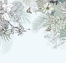 Papier peint tendance nature plante vert d'eau
