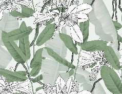 Nature foliage green flower NB wallpaper