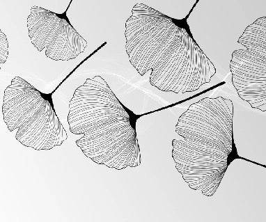 Papier peint panoramique tendance ginkgo noir, XXL, tendance