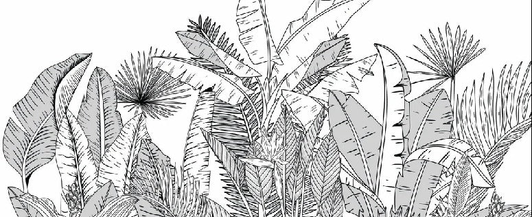 Papier peint panoramique noir et blanc botanic leaf, XXL, tendance