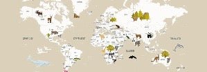 Papier peint Carte du monde en Francais enfant beige, XXL, tendance