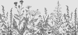 Romantic folk botanical bistro wallpaper