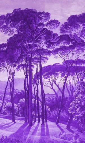 Papier peint paysage historique italien violet