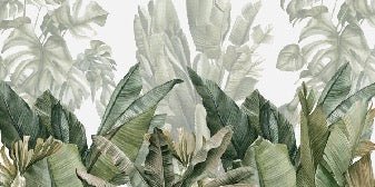 Panoramic green banana wallpaper